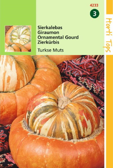 Pumpkin Turkish Turban (Cucurbita maxima) 12 seeds HT